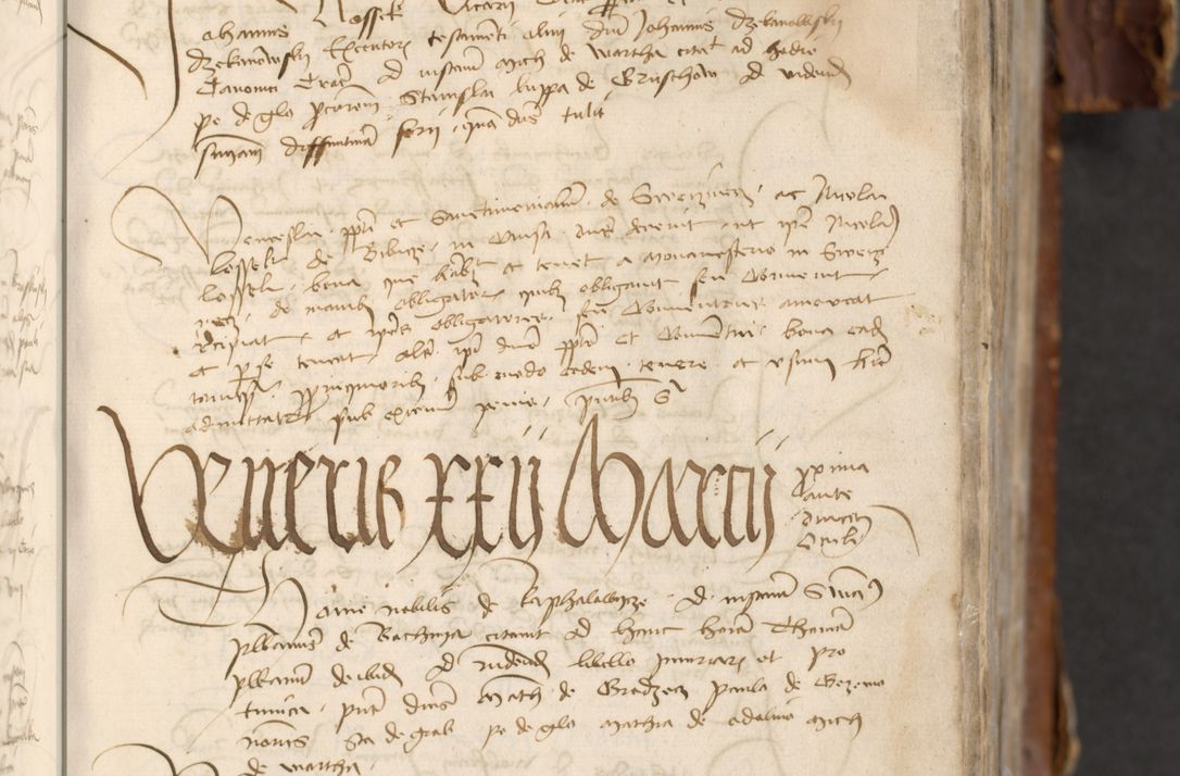 Zdjęcie nr 59 dla obiektu archiwalnego: [Acta actorum officialia coram Raphaele de Skawina]