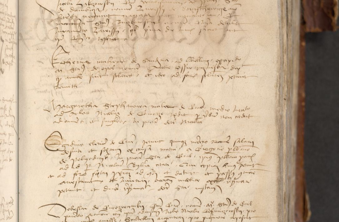 Zdjęcie nr 35 dla obiektu archiwalnego: [Acta actorum officialia coram Raphaele de Skawina]