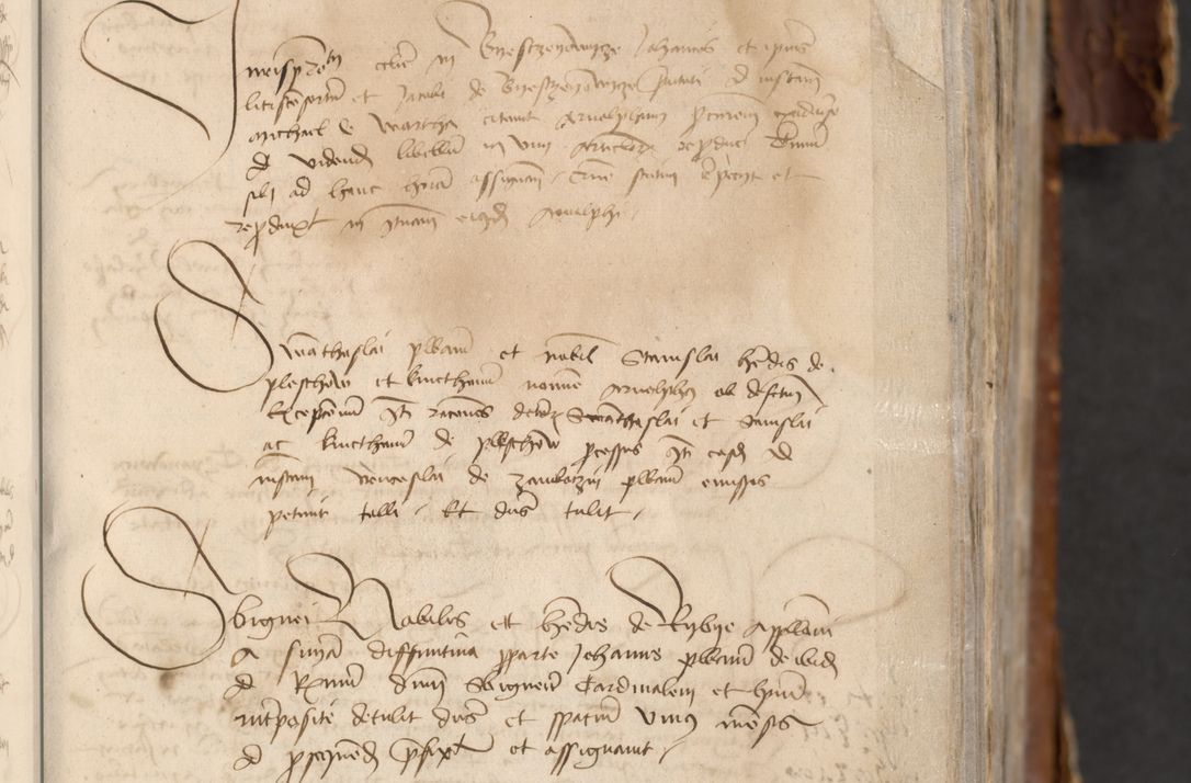 Zdjęcie nr 13 dla obiektu archiwalnego: [Acta actorum officialia coram Raphaele de Skawina]