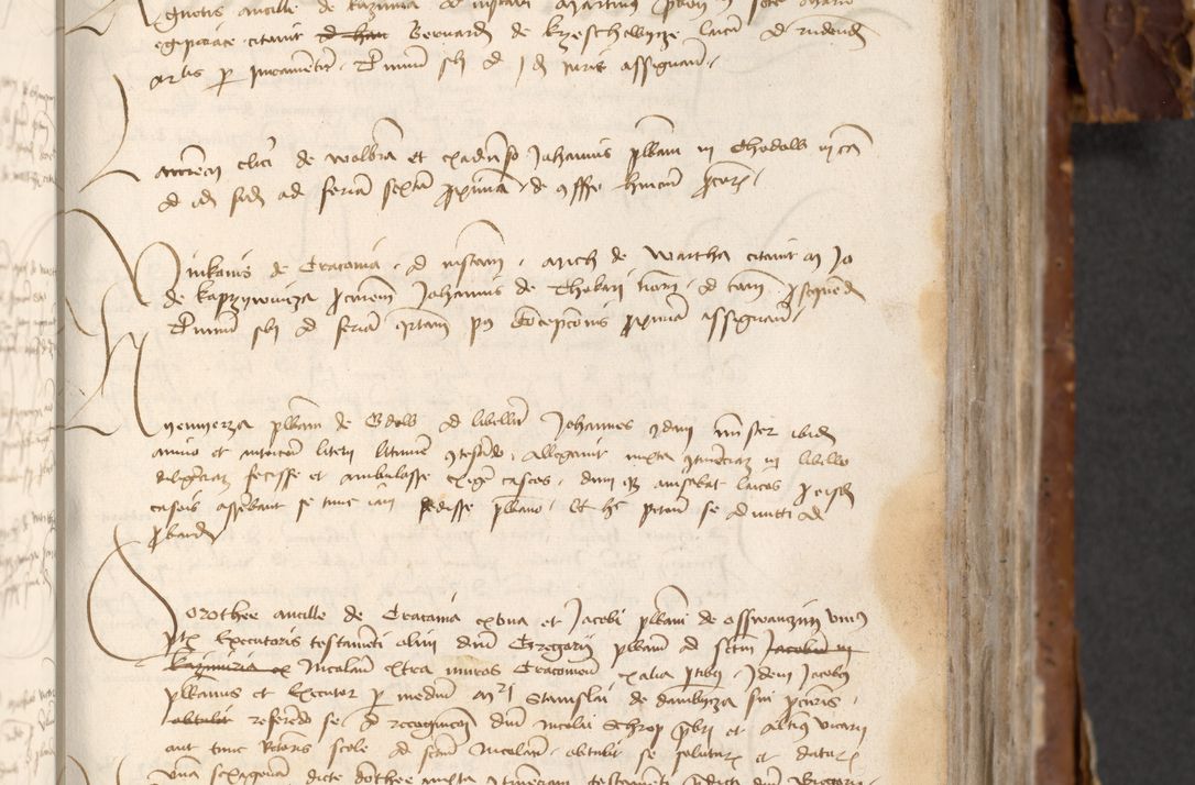 Zdjęcie nr 399 dla obiektu archiwalnego: [Acta actorum officialia coram Raphaele de Skawina]