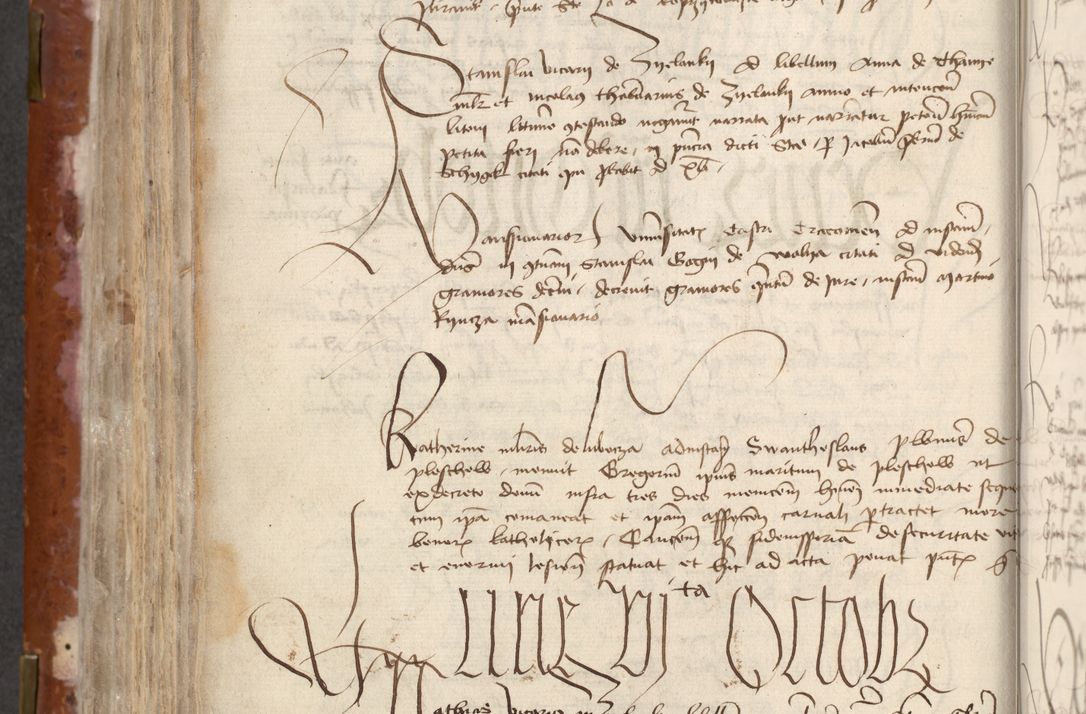 Zdjęcie nr 356 dla obiektu archiwalnego: [Acta actorum officialia coram Raphaele de Skawina]