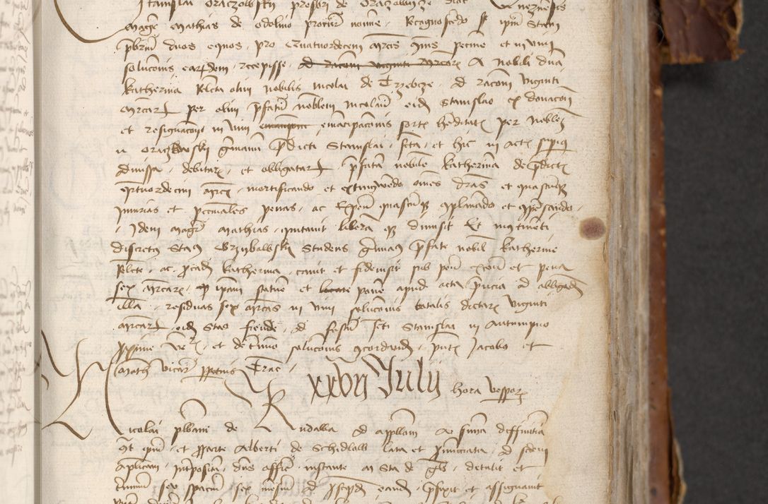 Zdjęcie nr 341 dla obiektu archiwalnego: [Acta actorum officialia coram Raphaele de Skawina]