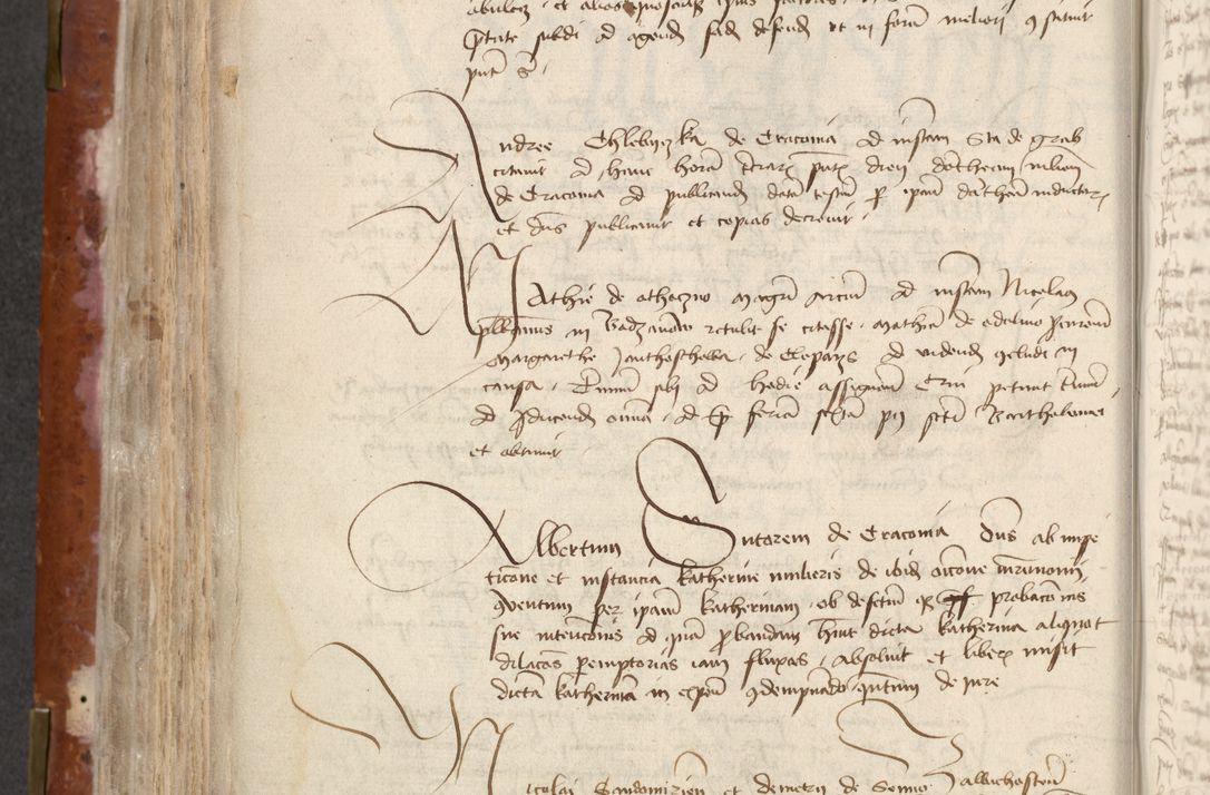 Zdjęcie nr 336 dla obiektu archiwalnego: [Acta actorum officialia coram Raphaele de Skawina]