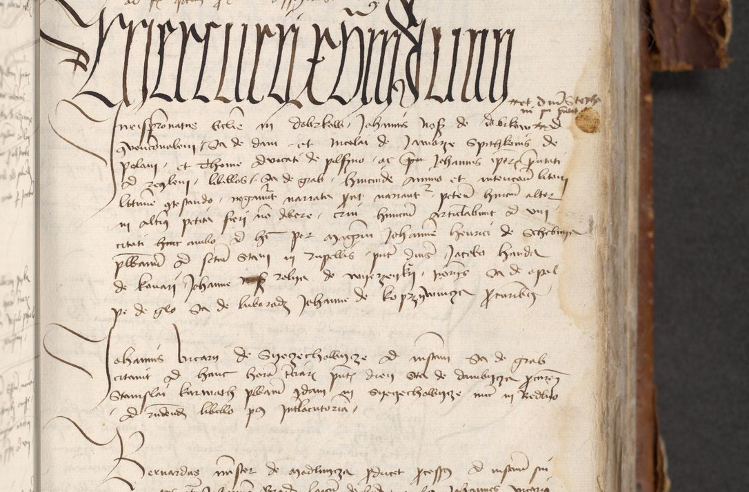 Zdjęcie nr 317 dla obiektu archiwalnego: [Acta actorum officialia coram Raphaele de Skawina]