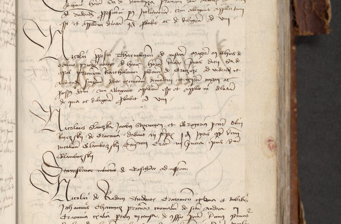 Zdjęcie nr 305 dla obiektu archiwalnego: [Acta actorum officialia coram Raphaele de Skawina]