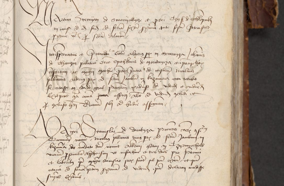 Zdjęcie nr 301 dla obiektu archiwalnego: [Acta actorum officialia coram Raphaele de Skawina]