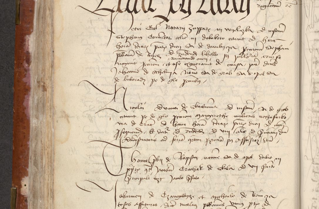 Zdjęcie nr 300 dla obiektu archiwalnego: [Acta actorum officialia coram Raphaele de Skawina]