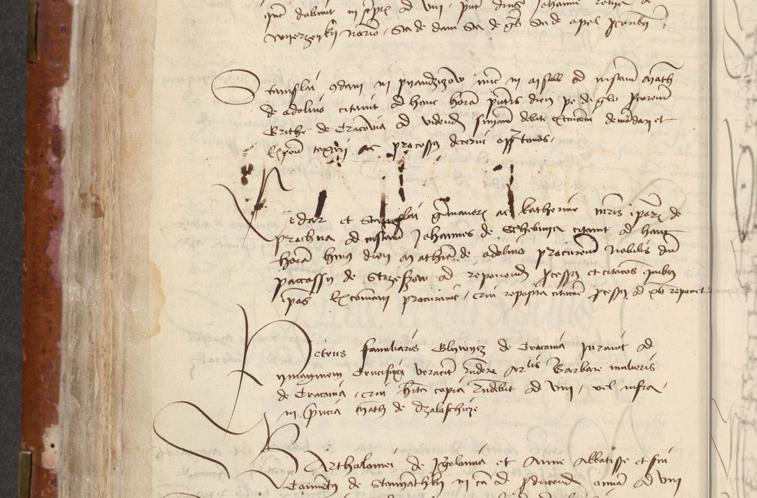 Zdjęcie nr 292 dla obiektu archiwalnego: [Acta actorum officialia coram Raphaele de Skawina]