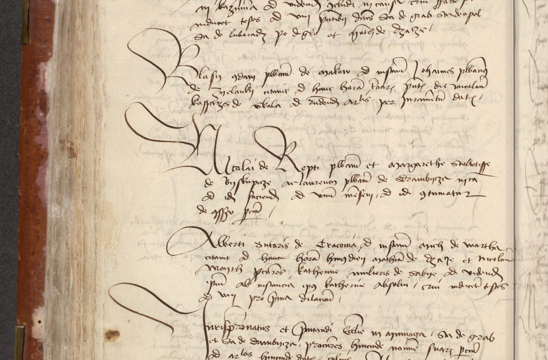 Zdjęcie nr 284 dla obiektu archiwalnego: [Acta actorum officialia coram Raphaele de Skawina]