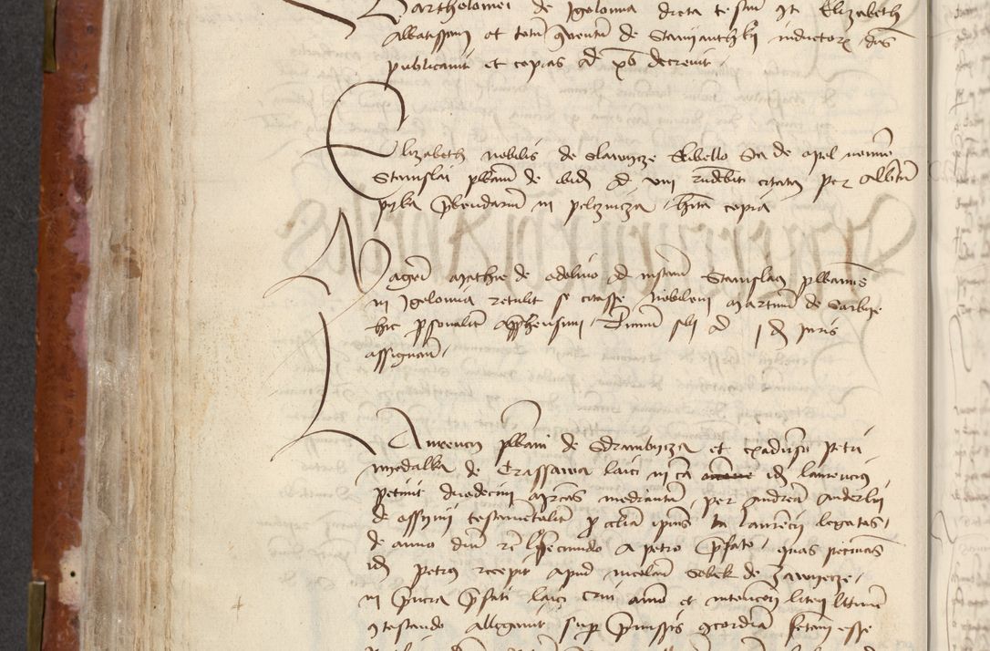 Zdjęcie nr 282 dla obiektu archiwalnego: [Acta actorum officialia coram Raphaele de Skawina]