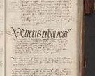 Zdjęcie nr 277 dla obiektu archiwalnego: [Acta actorum officialia coram Raphaele de Skawina]