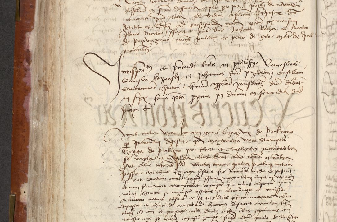 Zdjęcie nr 278 dla obiektu archiwalnego: [Acta actorum officialia coram Raphaele de Skawina]