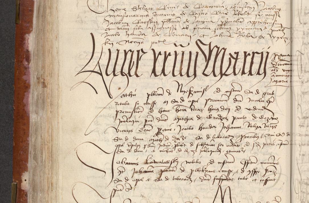 Zdjęcie nr 272 dla obiektu archiwalnego: [Acta actorum officialia coram Raphaele de Skawina]