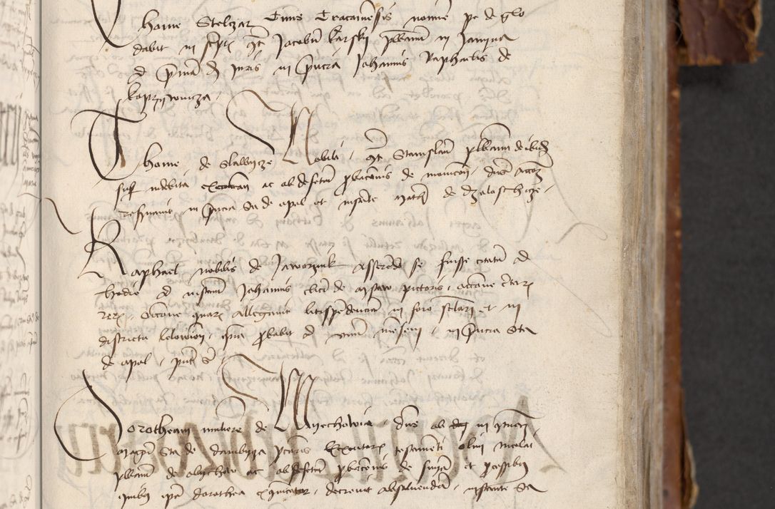 Zdjęcie nr 273 dla obiektu archiwalnego: [Acta actorum officialia coram Raphaele de Skawina]