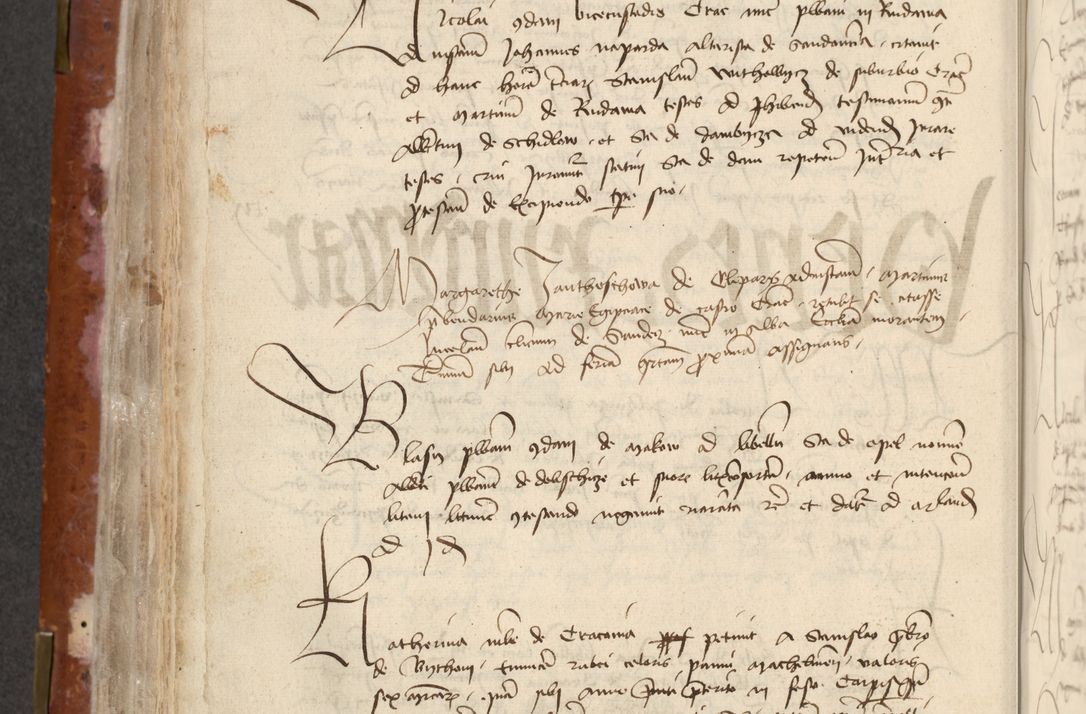 Zdjęcie nr 262 dla obiektu archiwalnego: [Acta actorum officialia coram Raphaele de Skawina]