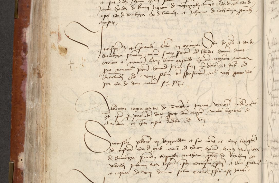 Zdjęcie nr 264 dla obiektu archiwalnego: [Acta actorum officialia coram Raphaele de Skawina]