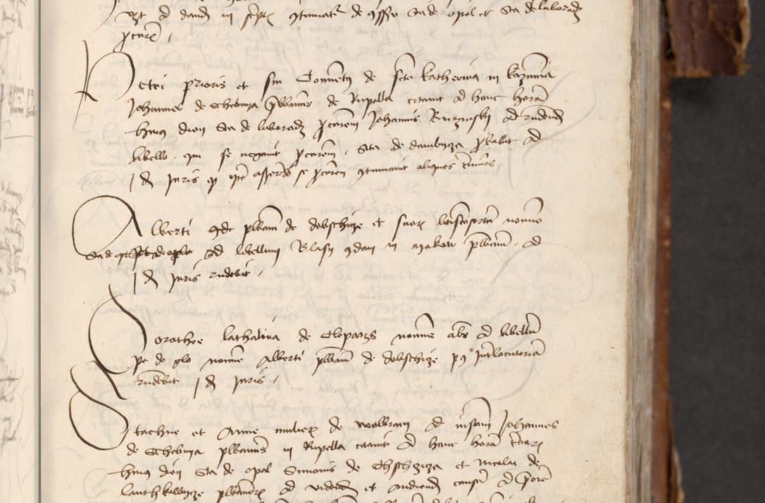 Zdjęcie nr 257 dla obiektu archiwalnego: [Acta actorum officialia coram Raphaele de Skawina]