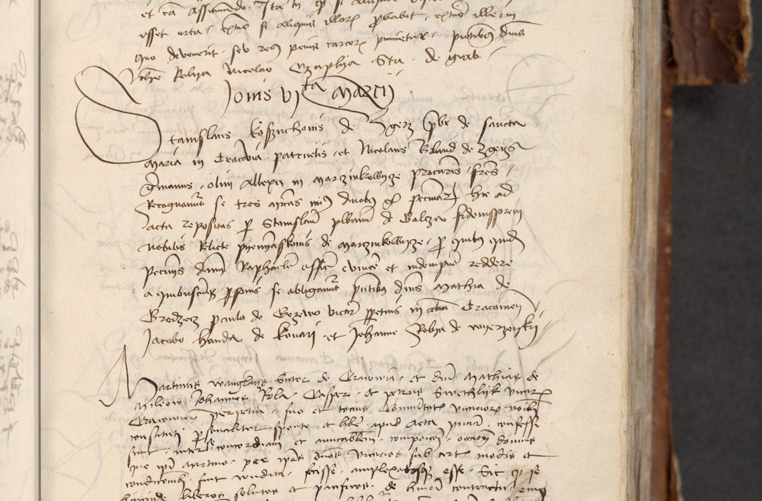 Zdjęcie nr 253 dla obiektu archiwalnego: [Acta actorum officialia coram Raphaele de Skawina]