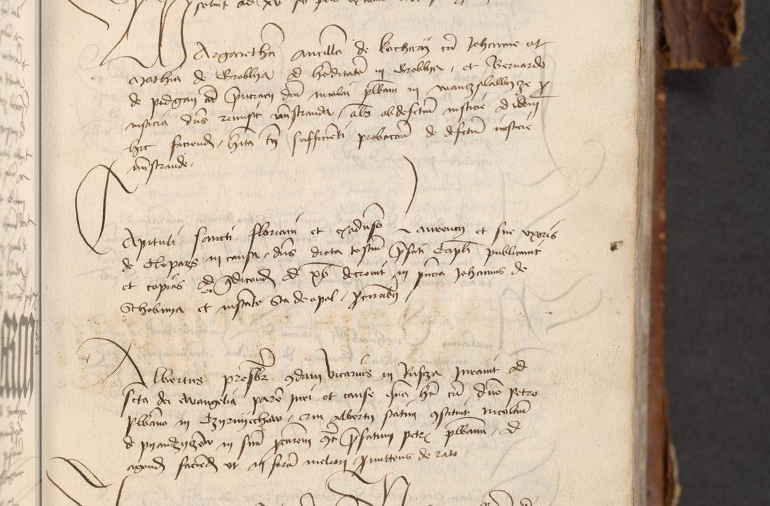 Zdjęcie nr 251 dla obiektu archiwalnego: [Acta actorum officialia coram Raphaele de Skawina]