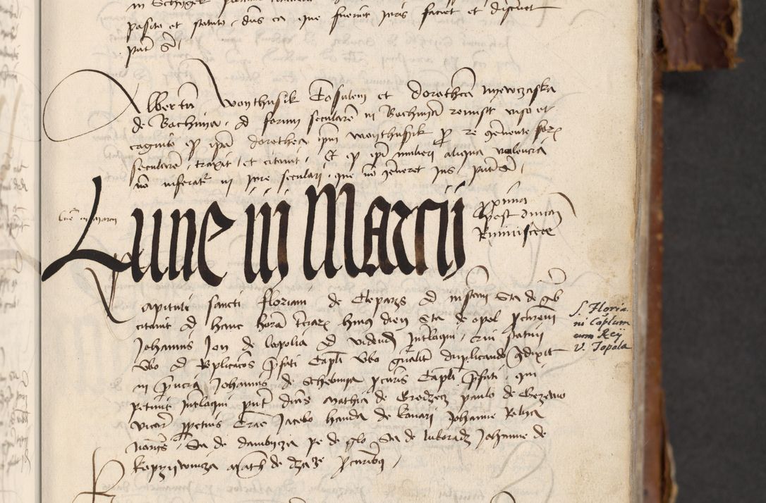 Zdjęcie nr 247 dla obiektu archiwalnego: [Acta actorum officialia coram Raphaele de Skawina]