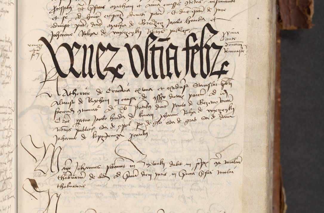 Zdjęcie nr 245 dla obiektu archiwalnego: [Acta actorum officialia coram Raphaele de Skawina]