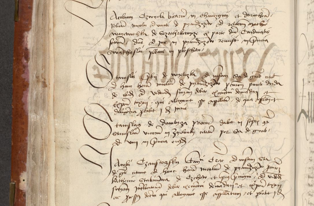 Zdjęcie nr 246 dla obiektu archiwalnego: [Acta actorum officialia coram Raphaele de Skawina]