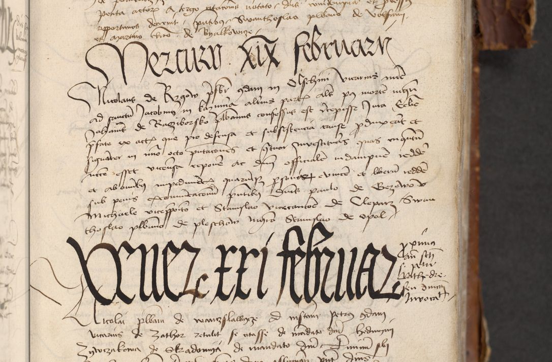 Zdjęcie nr 239 dla obiektu archiwalnego: [Acta actorum officialia coram Raphaele de Skawina]