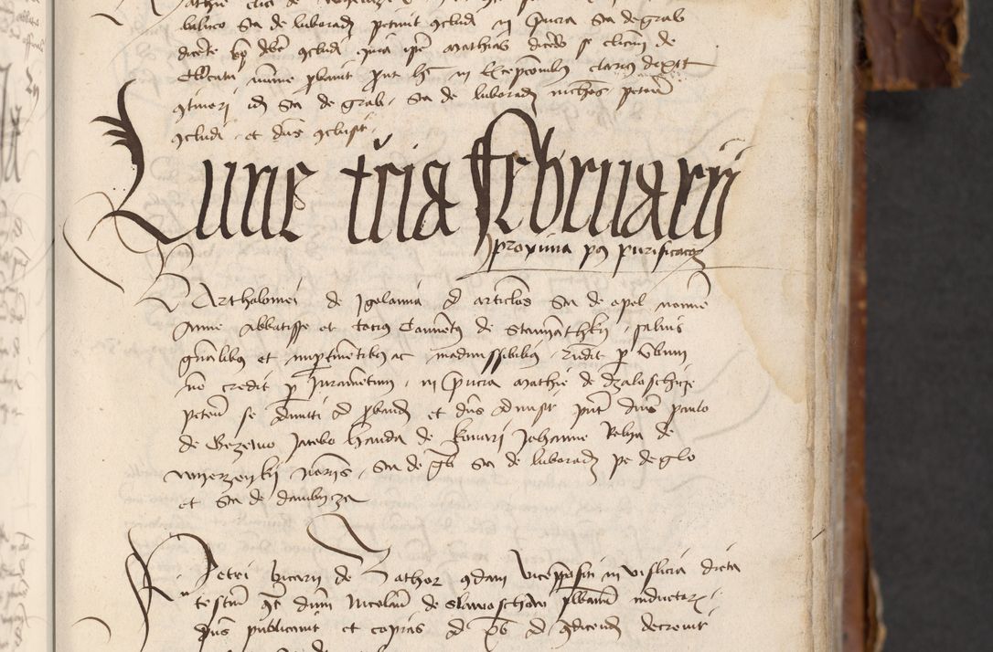 Zdjęcie nr 227 dla obiektu archiwalnego: [Acta actorum officialia coram Raphaele de Skawina]