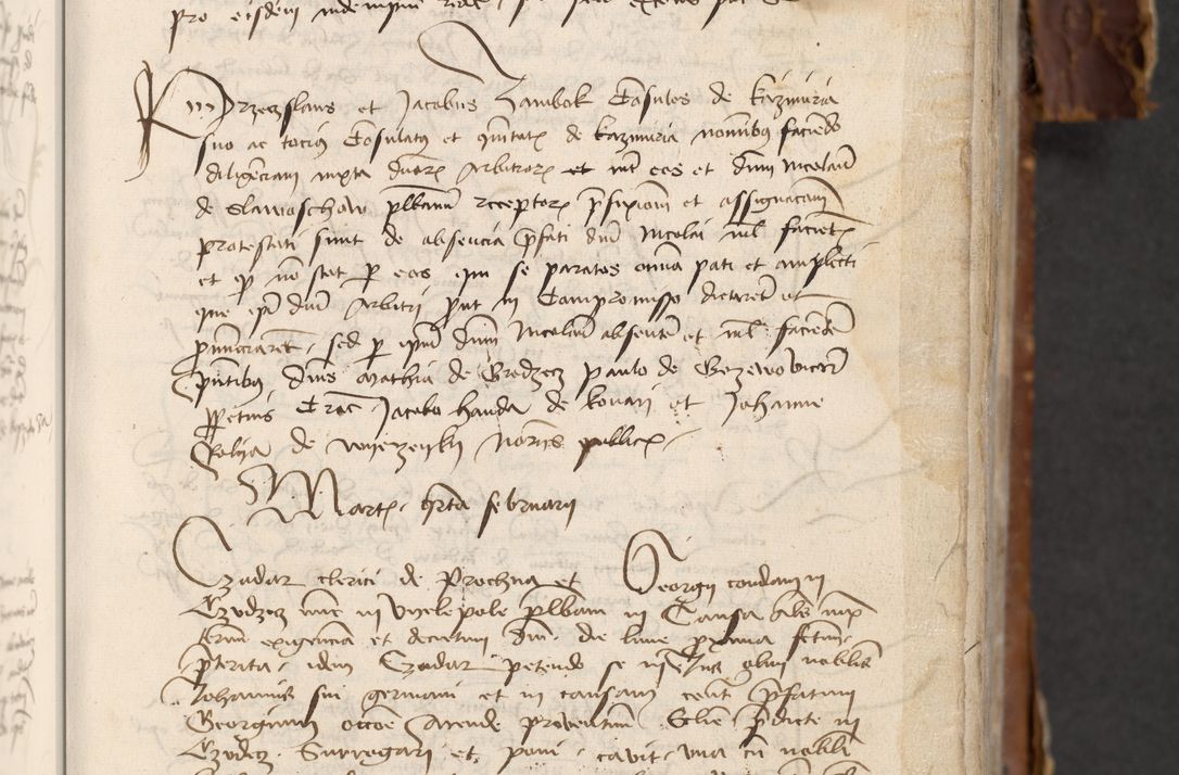 Zdjęcie nr 229 dla obiektu archiwalnego: [Acta actorum officialia coram Raphaele de Skawina]