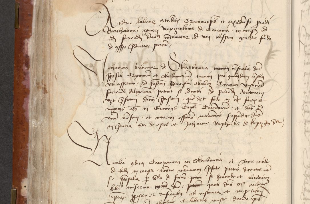 Zdjęcie nr 228 dla obiektu archiwalnego: [Acta actorum officialia coram Raphaele de Skawina]