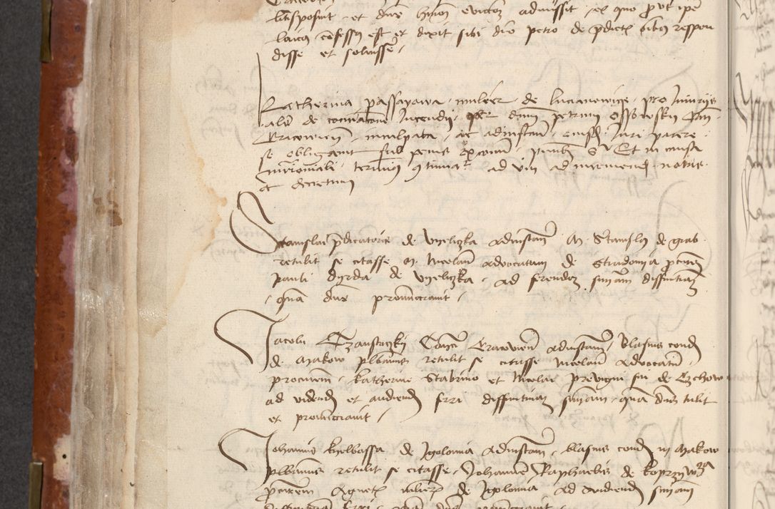 Zdjęcie nr 222 dla obiektu archiwalnego: [Acta actorum officialia coram Raphaele de Skawina]