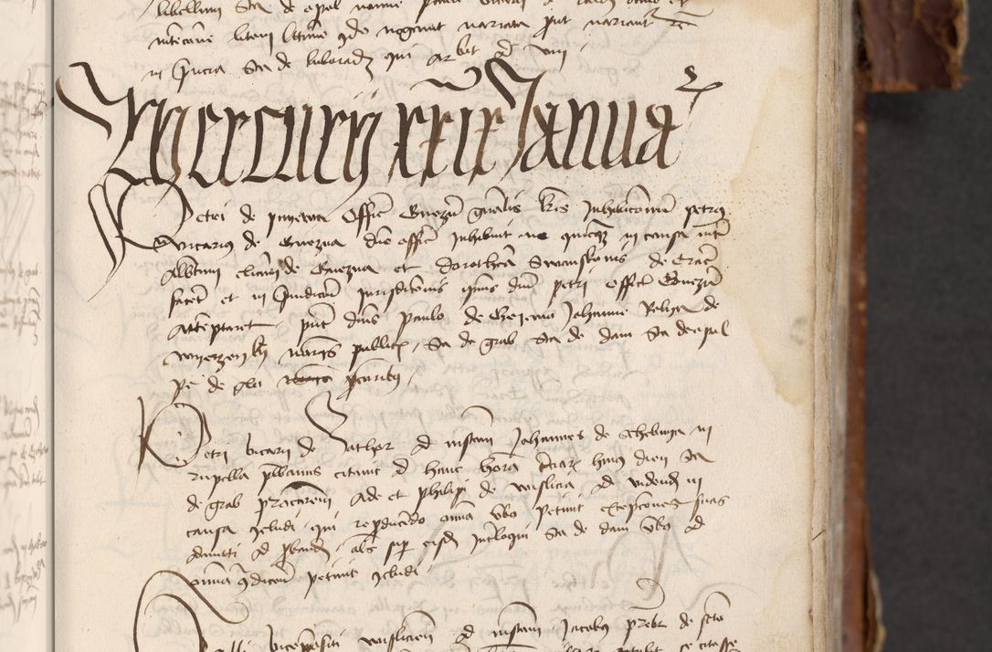 Zdjęcie nr 223 dla obiektu archiwalnego: [Acta actorum officialia coram Raphaele de Skawina]