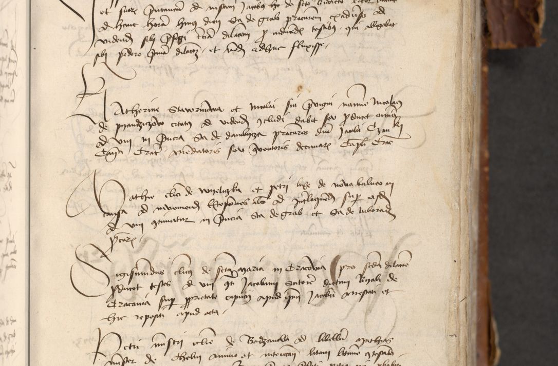 Zdjęcie nr 213 dla obiektu archiwalnego: [Acta actorum officialia coram Raphaele de Skawina]