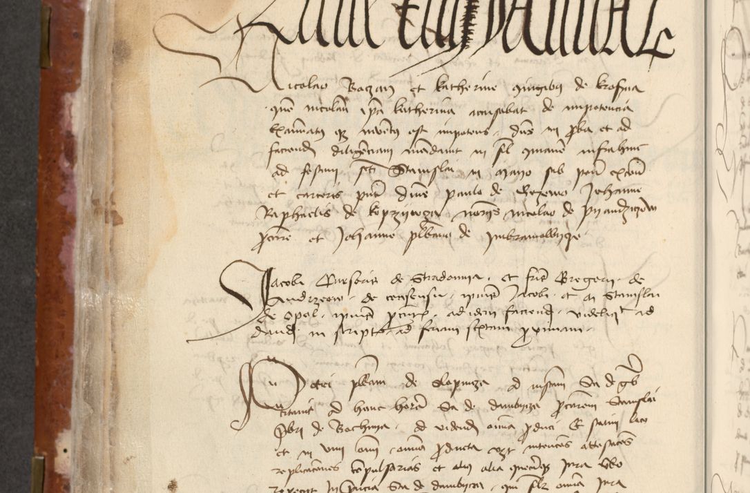 Zdjęcie nr 210 dla obiektu archiwalnego: [Acta actorum officialia coram Raphaele de Skawina]