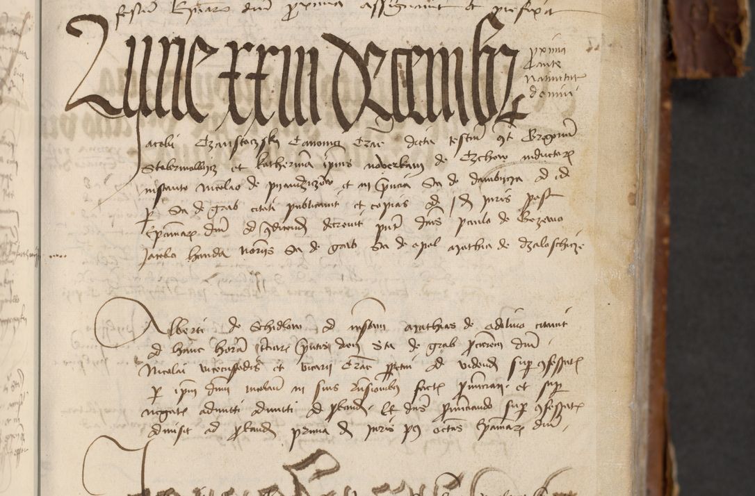 Zdjęcie nr 207 dla obiektu archiwalnego: [Acta actorum officialia coram Raphaele de Skawina]