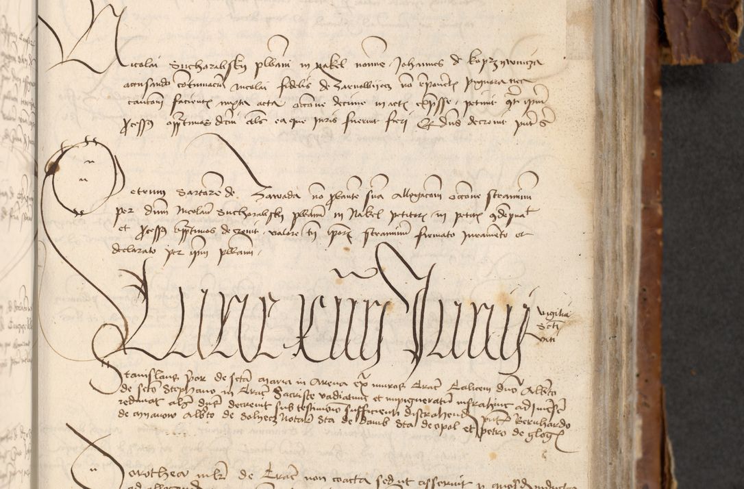 Zdjęcie nr 559 dla obiektu archiwalnego: [Acta actorum officialia coram Raphaele de Skawina]