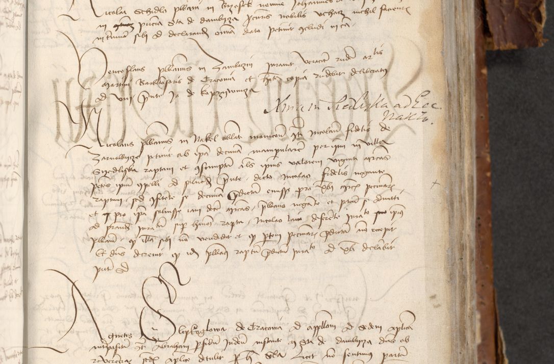 Zdjęcie nr 535 dla obiektu archiwalnego: [Acta actorum officialia coram Raphaele de Skawina]