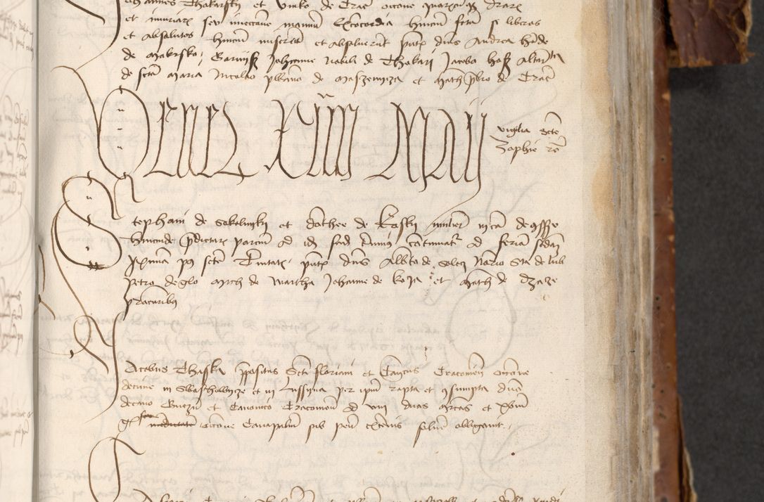 Zdjęcie nr 533 dla obiektu archiwalnego: [Acta actorum officialia coram Raphaele de Skawina]