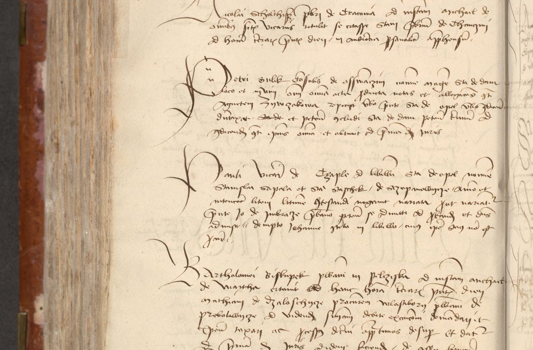 Zdjęcie nr 514 dla obiektu archiwalnego: [Acta actorum officialia coram Raphaele de Skawina]