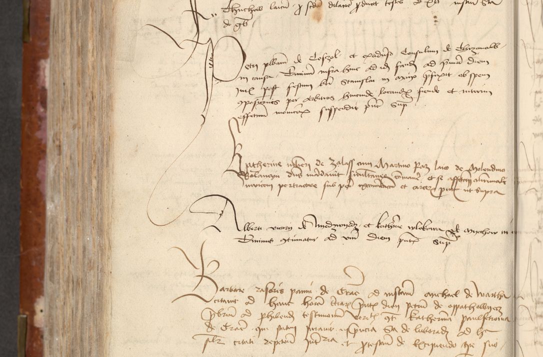 Zdjęcie nr 508 dla obiektu archiwalnego: [Acta actorum officialia coram Raphaele de Skawina]