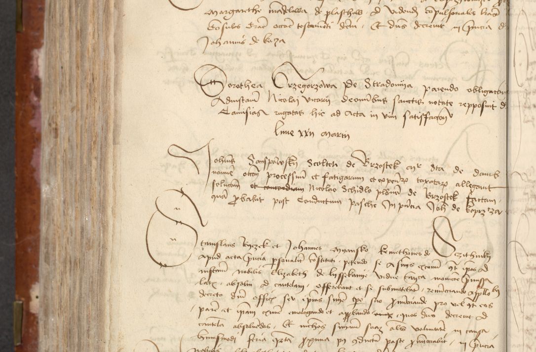 Zdjęcie nr 494 dla obiektu archiwalnego: [Acta actorum officialia coram Raphaele de Skawina]