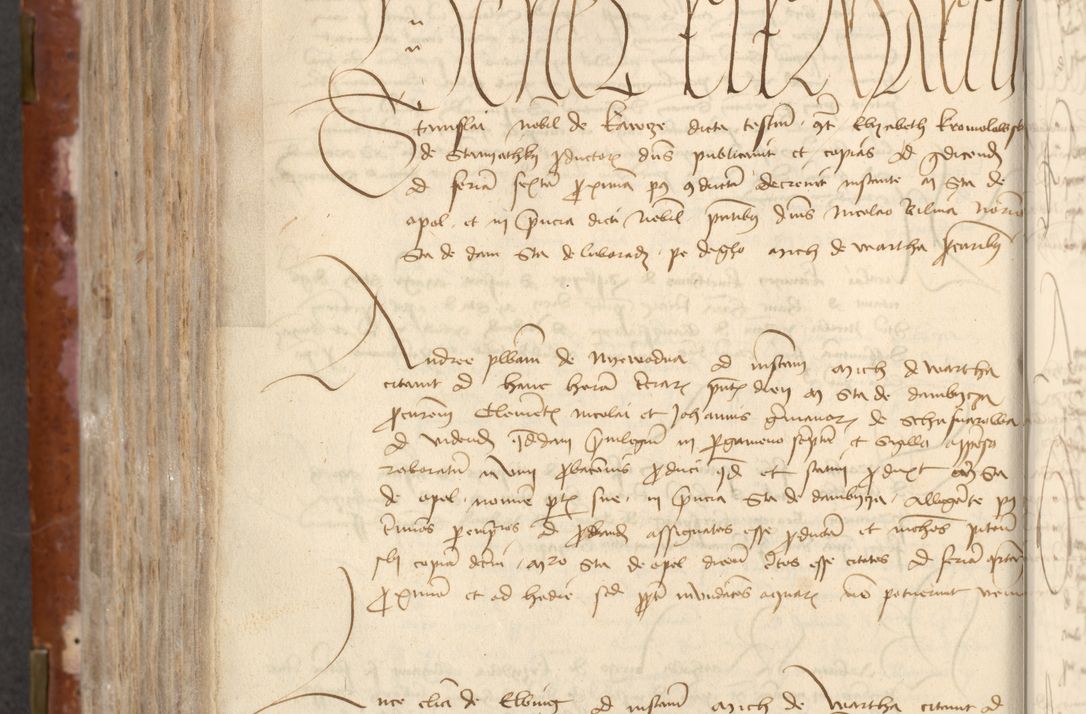 Zdjęcie nr 492 dla obiektu archiwalnego: [Acta actorum officialia coram Raphaele de Skawina]