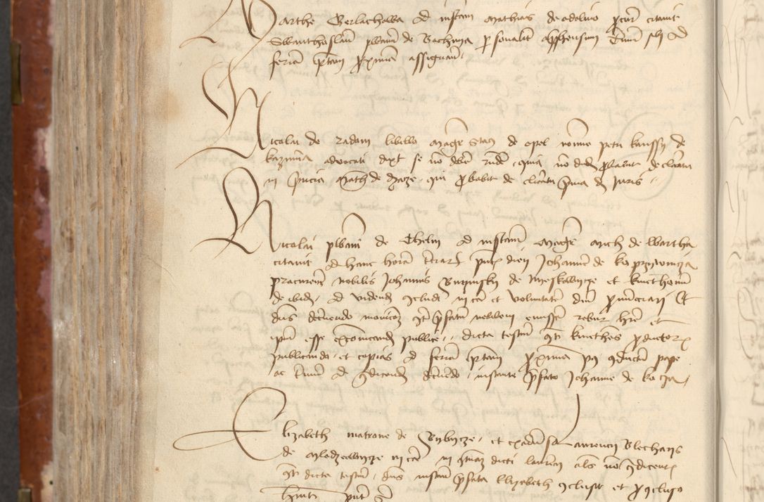 Zdjęcie nr 488 dla obiektu archiwalnego: [Acta actorum officialia coram Raphaele de Skawina]