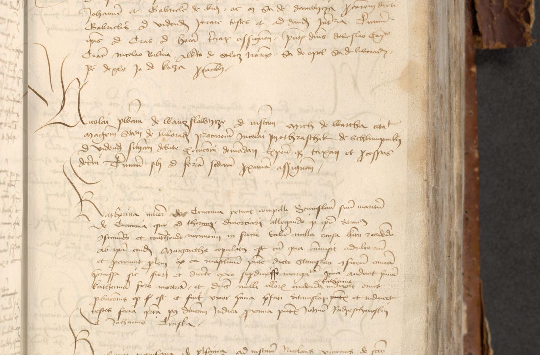 Zdjęcie nr 483 dla obiektu archiwalnego: [Acta actorum officialia coram Raphaele de Skawina]