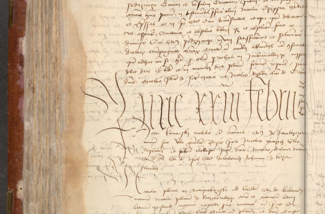 Zdjęcie nr 466 dla obiektu archiwalnego: [Acta actorum officialia coram Raphaele de Skawina]