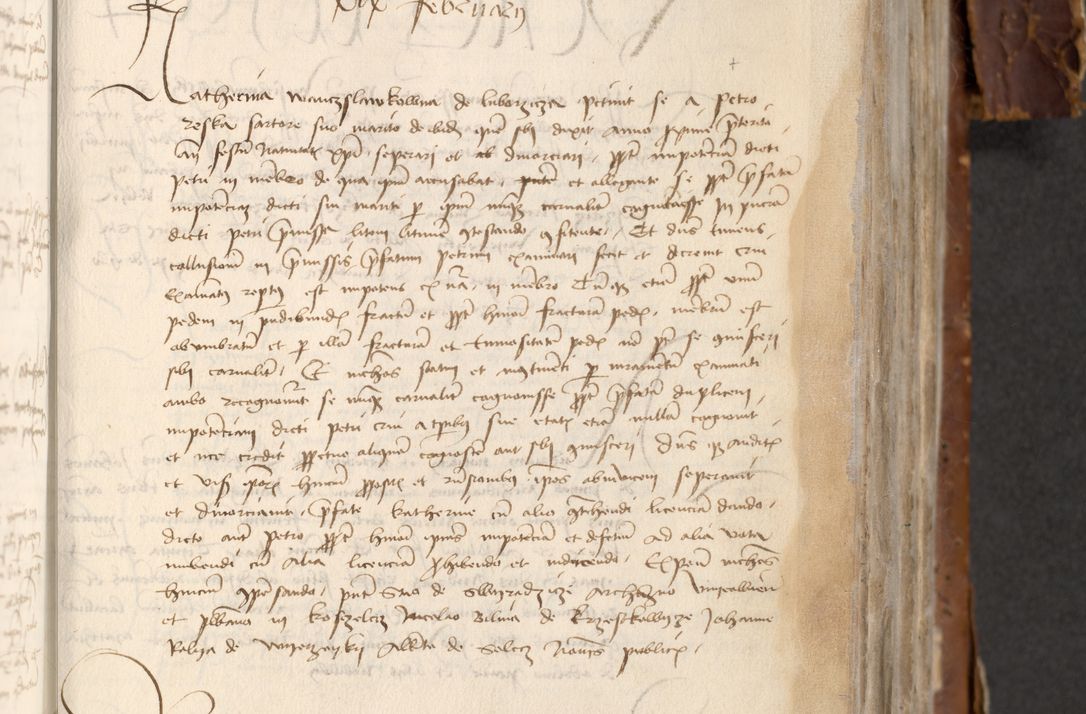 Zdjęcie nr 461 dla obiektu archiwalnego: [Acta actorum officialia coram Raphaele de Skawina]