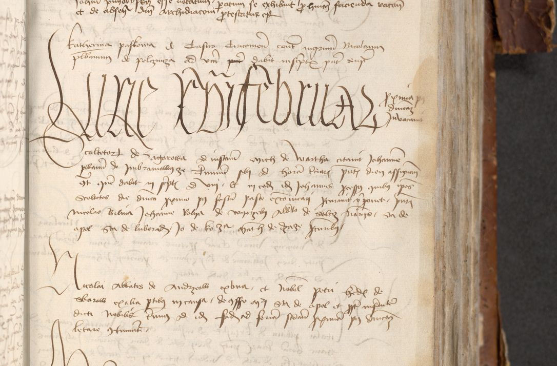 Zdjęcie nr 453 dla obiektu archiwalnego: [Acta actorum officialia coram Raphaele de Skawina]