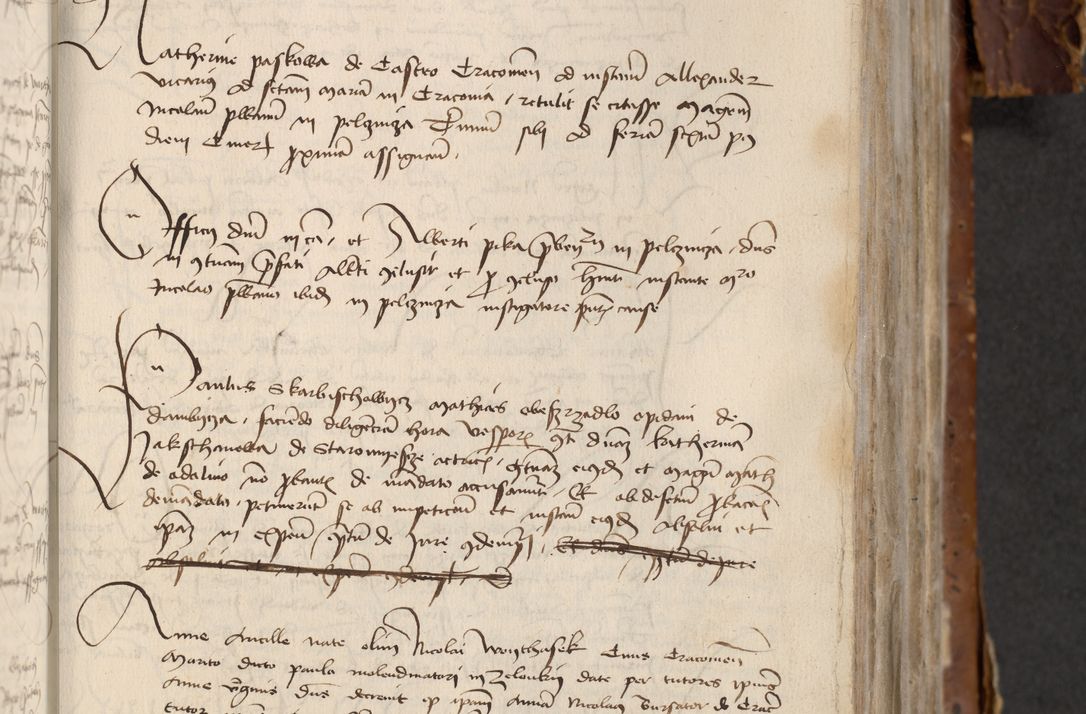 Zdjęcie nr 447 dla obiektu archiwalnego: [Acta actorum officialia coram Raphaele de Skawina]