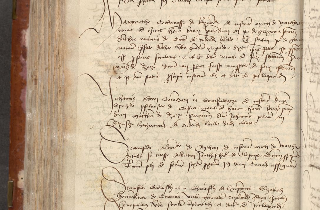 Zdjęcie nr 446 dla obiektu archiwalnego: [Acta actorum officialia coram Raphaele de Skawina]