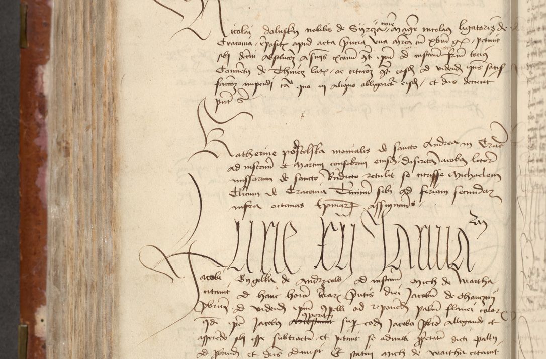 Zdjęcie nr 424 dla obiektu archiwalnego: [Acta actorum officialia coram Raphaele de Skawina]